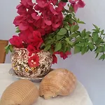 Giasemi *